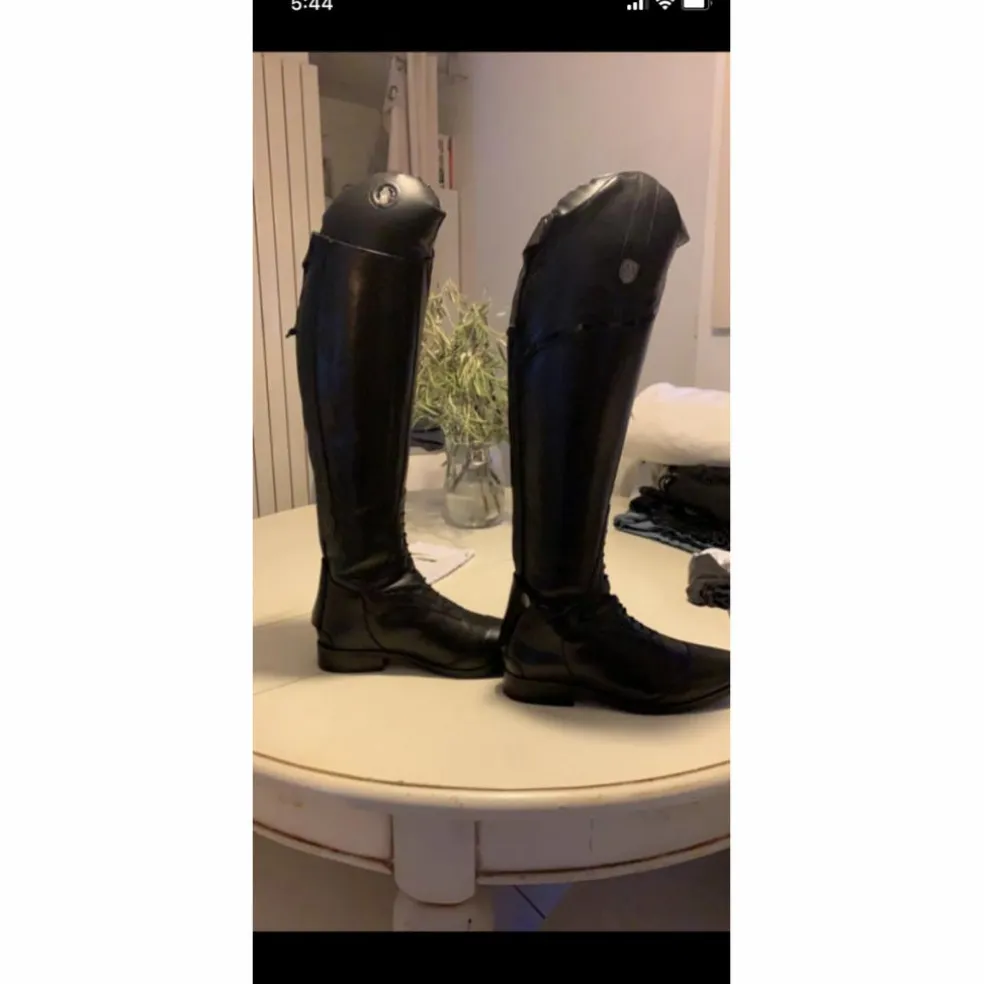 Bottes Mountain Horse