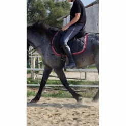 Bottes tattini