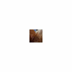 Bottes western