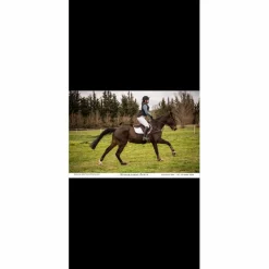 Bricole cuir Devoucoux