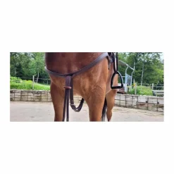 Bricolle-Martingale NORTON