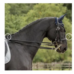 Bride de dressage