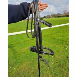 bride dressage full et cob