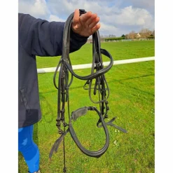 bride dressage full et cob