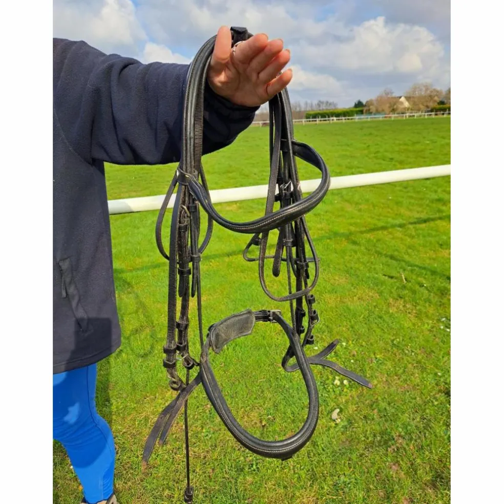 bride dressage full et cob