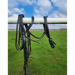 bride dressage full et cob