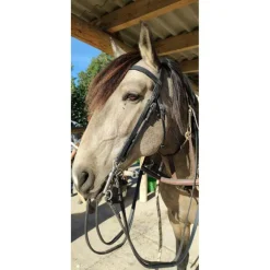Bride harmonie dressage