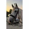 Bride impérial riding