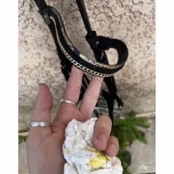 Bride privilège équitation