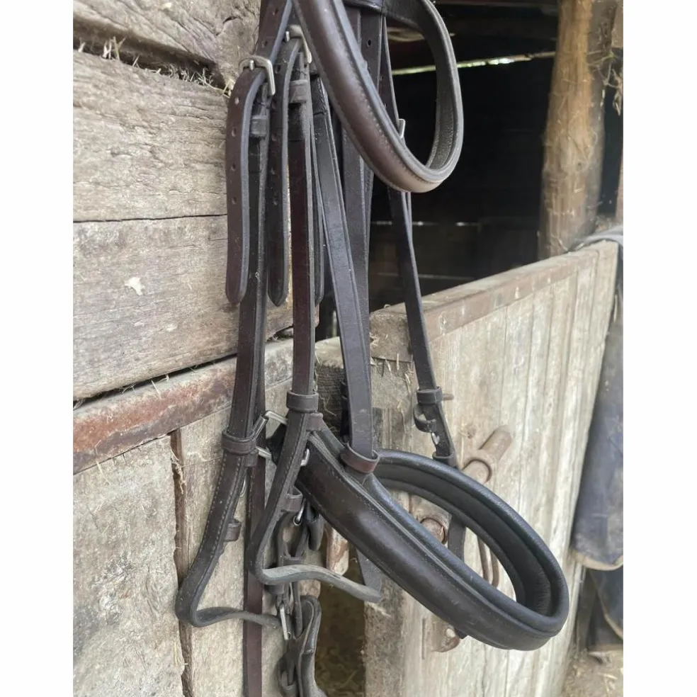 Bride taille cheval