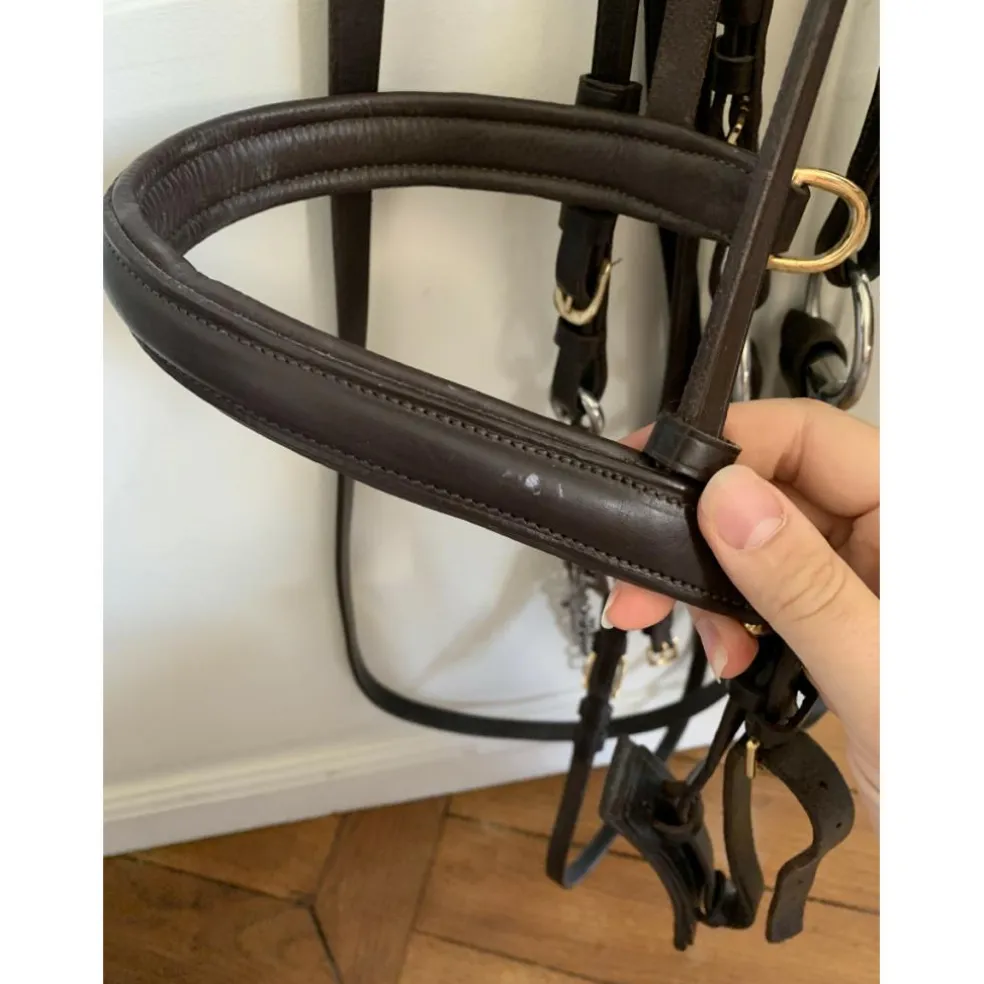 Bride Taille Cheval Eric Thomas Havane