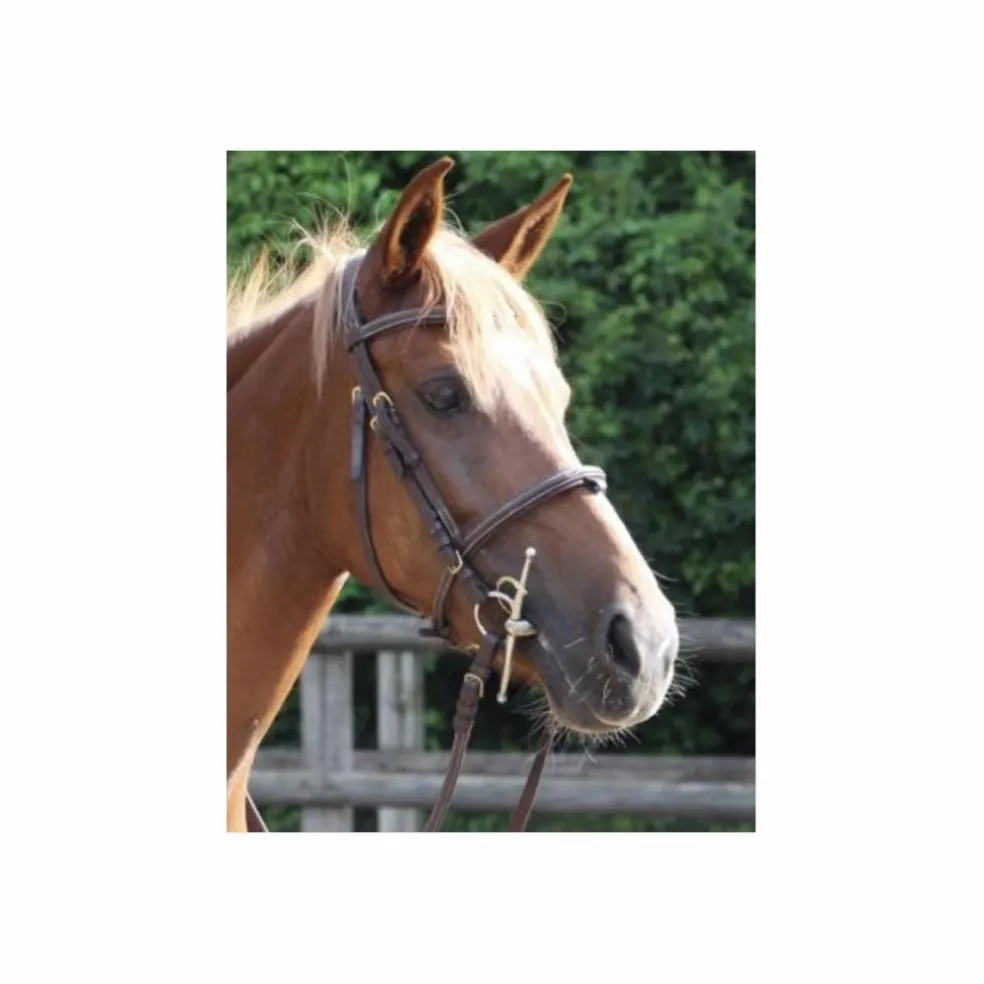 Bride taille cob