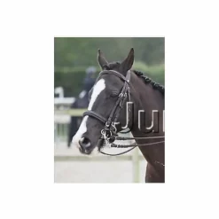 Bride taille cob