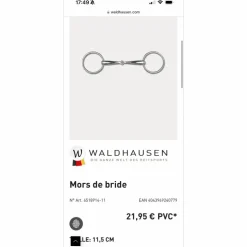 Bride TdeT