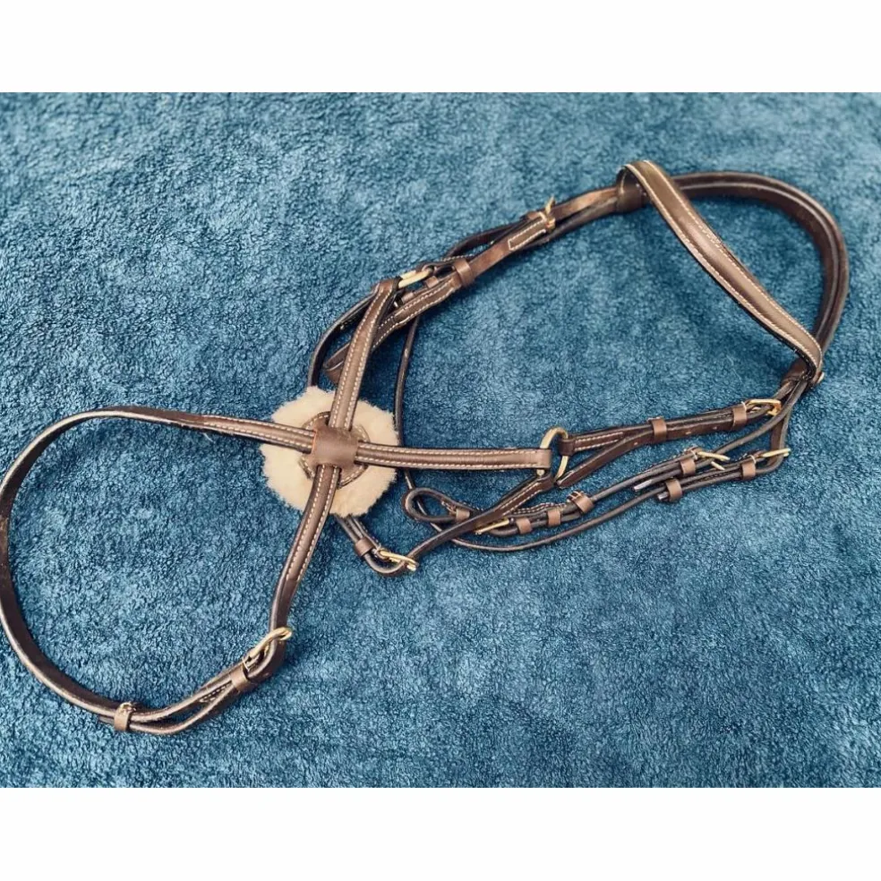 Bridon + rênes HFI master cuir havane poney
