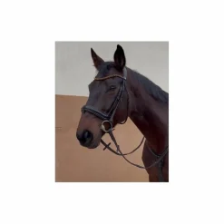 BRIDON ANATOMIQUE CLERMONT HORZE (TAILLE: CHEVAL - COULEUR: MARRON FONCÉ)