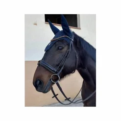 BRIDON ANATOMIQUE CLERMONT HORZE (TAILLE: CHEVAL - COULEUR: MARRON FONCÉ)
