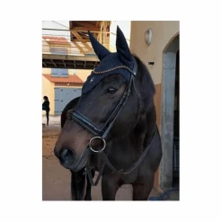 BRIDON ANATOMIQUE CLERMONT HORZE (TAILLE: CHEVAL - COULEUR: MARRON FONCÉ)