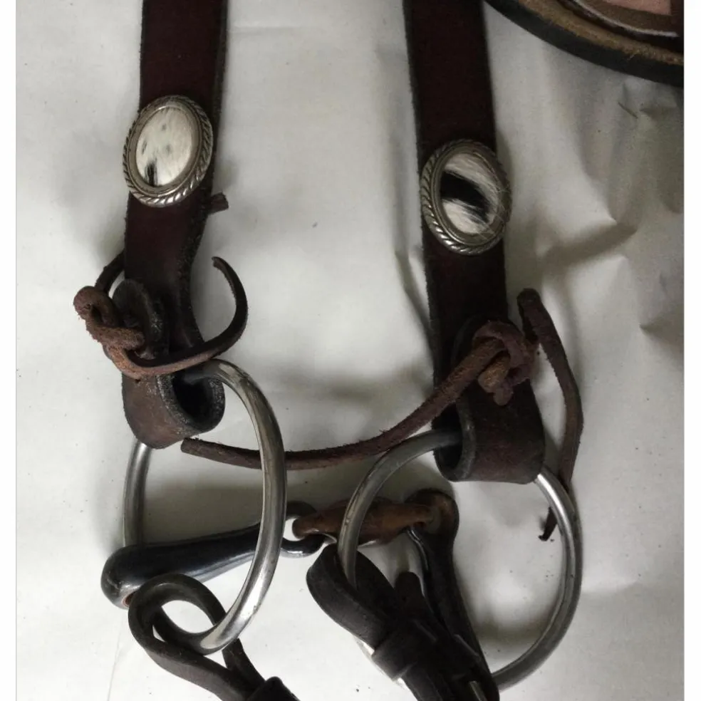 Bridon artisanale western avec peau de vache COBB