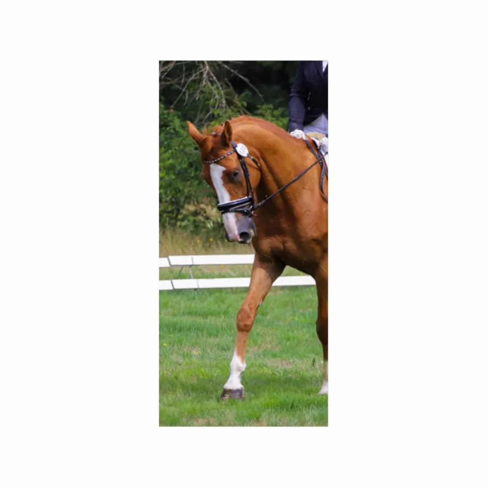 Bridon BR Andover