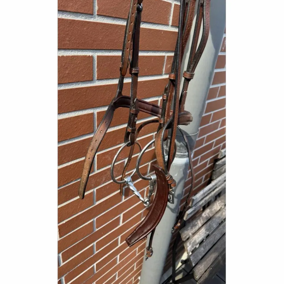 Bridon Butet Sport muserolle combinée