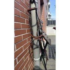 Bridon Butet Sport muserolle combinée