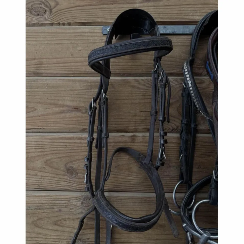 Bridon Canter Black strass