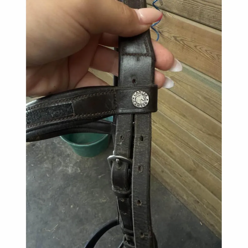 Bridon Canter Black strass