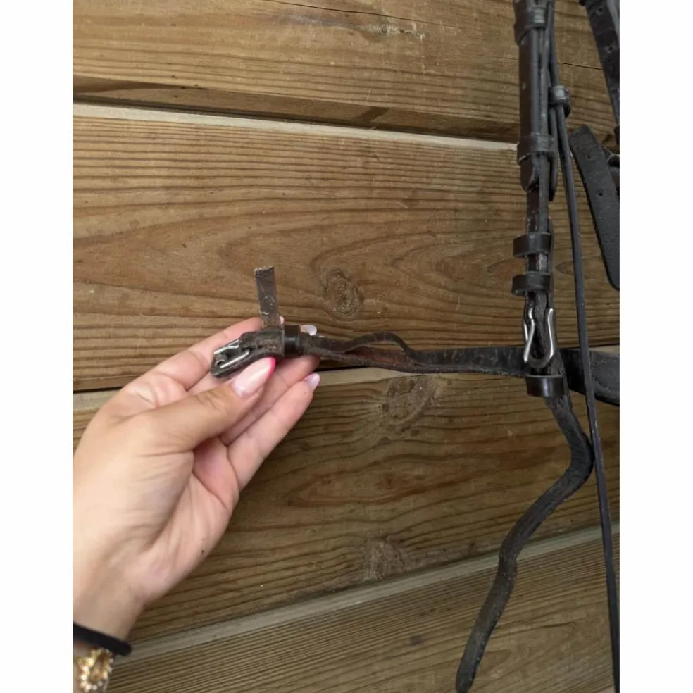 Bridon Canter Black strass