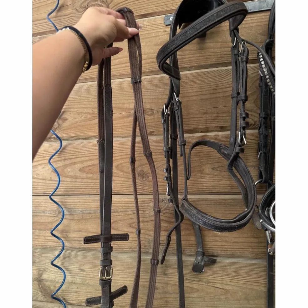 Bridon Canter Black strass