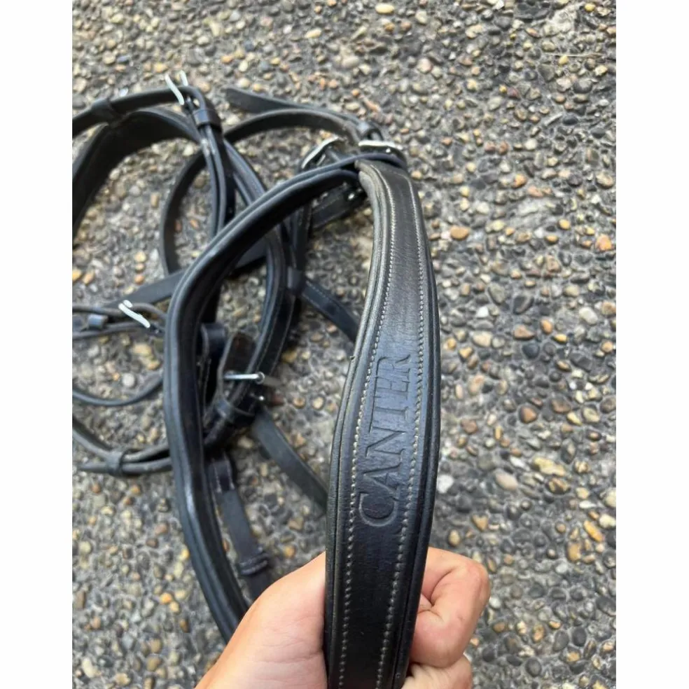 Bridon Canter cheval