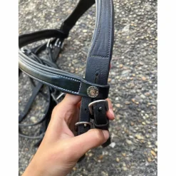 Bridon Canter cheval
