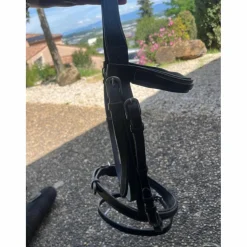 Bridon Canter cheval