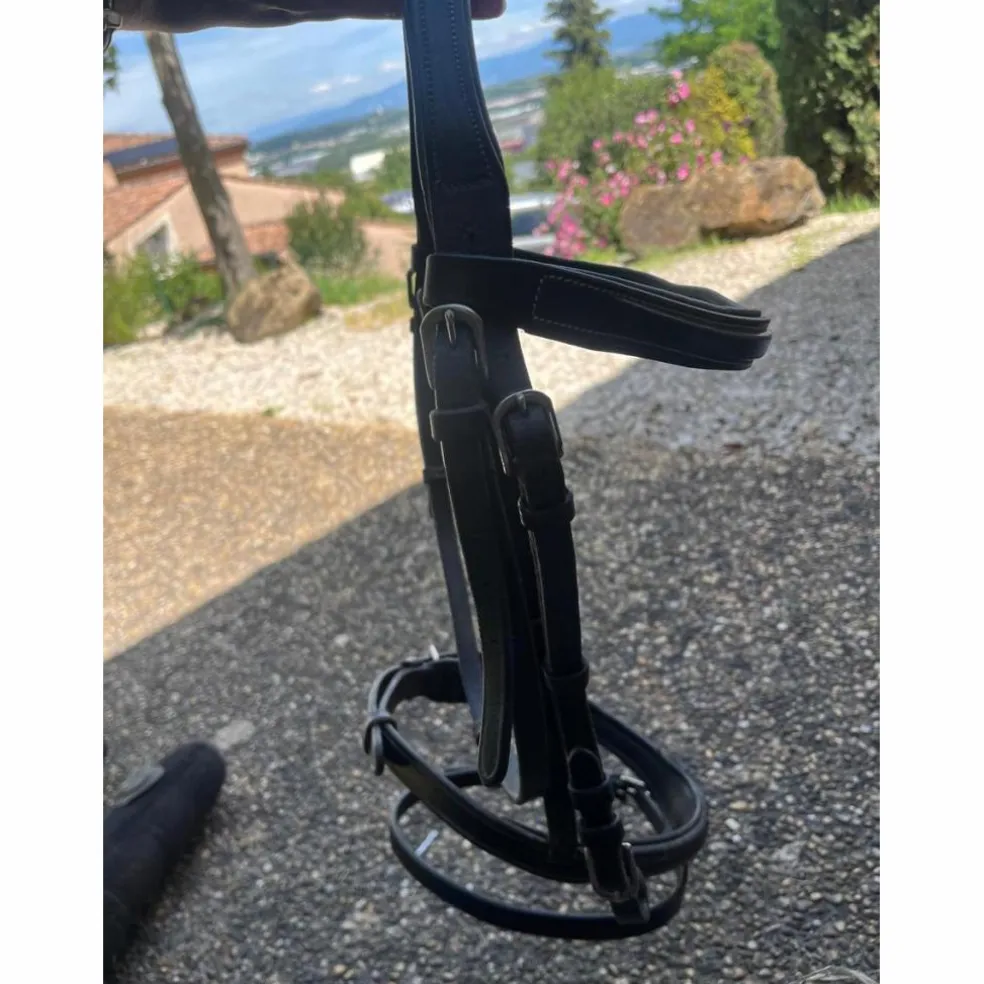 Bridon Canter cheval