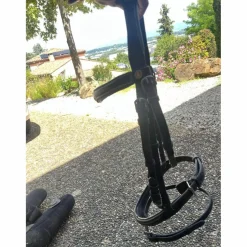 Bridon Canter cheval