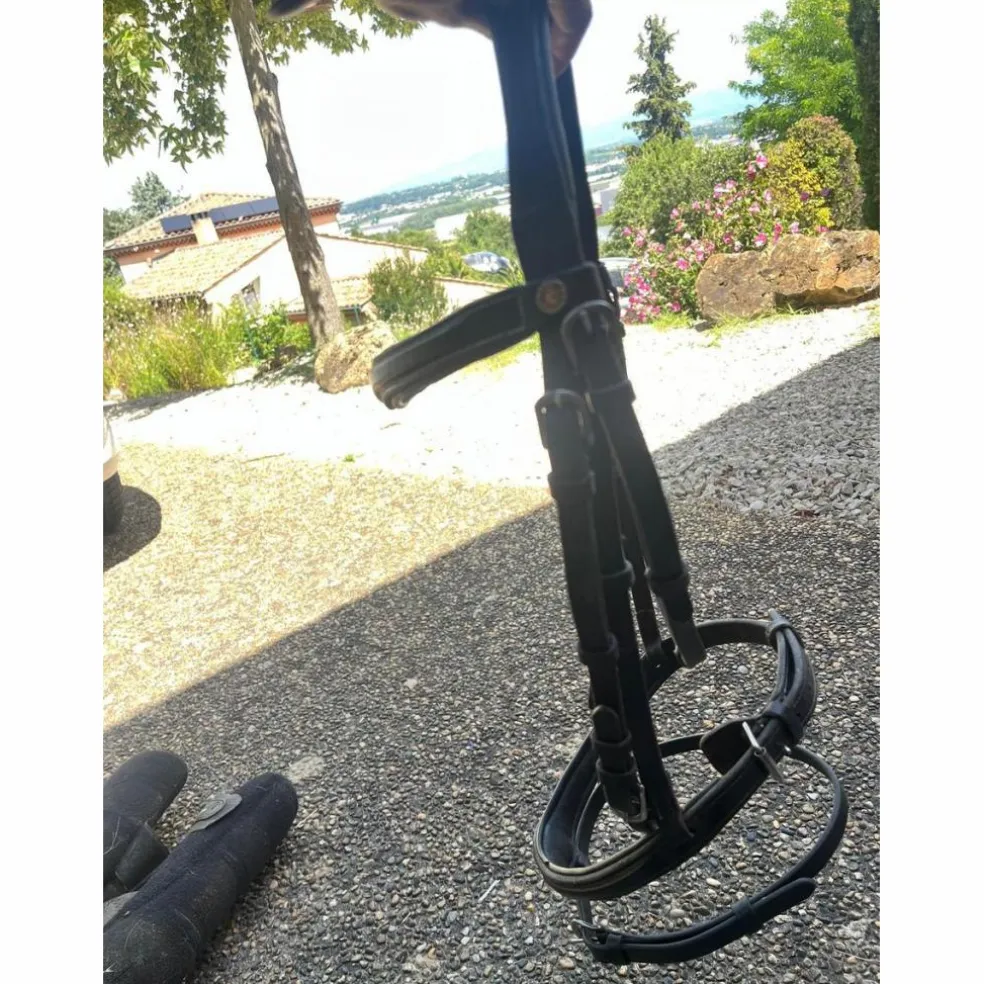 Bridon Canter cheval