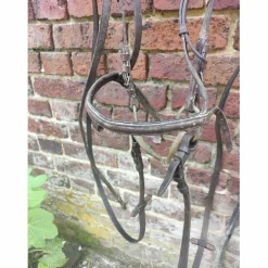 Bridon cheval
