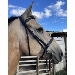 Bridon Cheval Canter noir