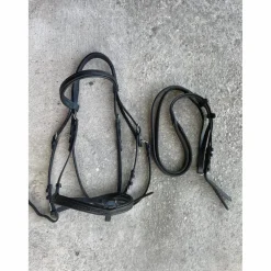 Bridon Cheval Canter noir
