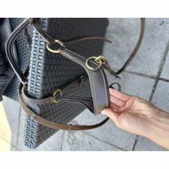 Bridon cheval sans mors