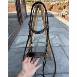 Bridon cheval sans mors