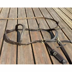 Bridon cheval sans mors