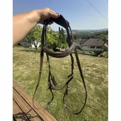 Bridon cheval sans mors