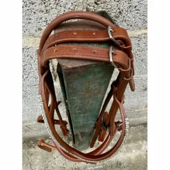 Bridon cognac