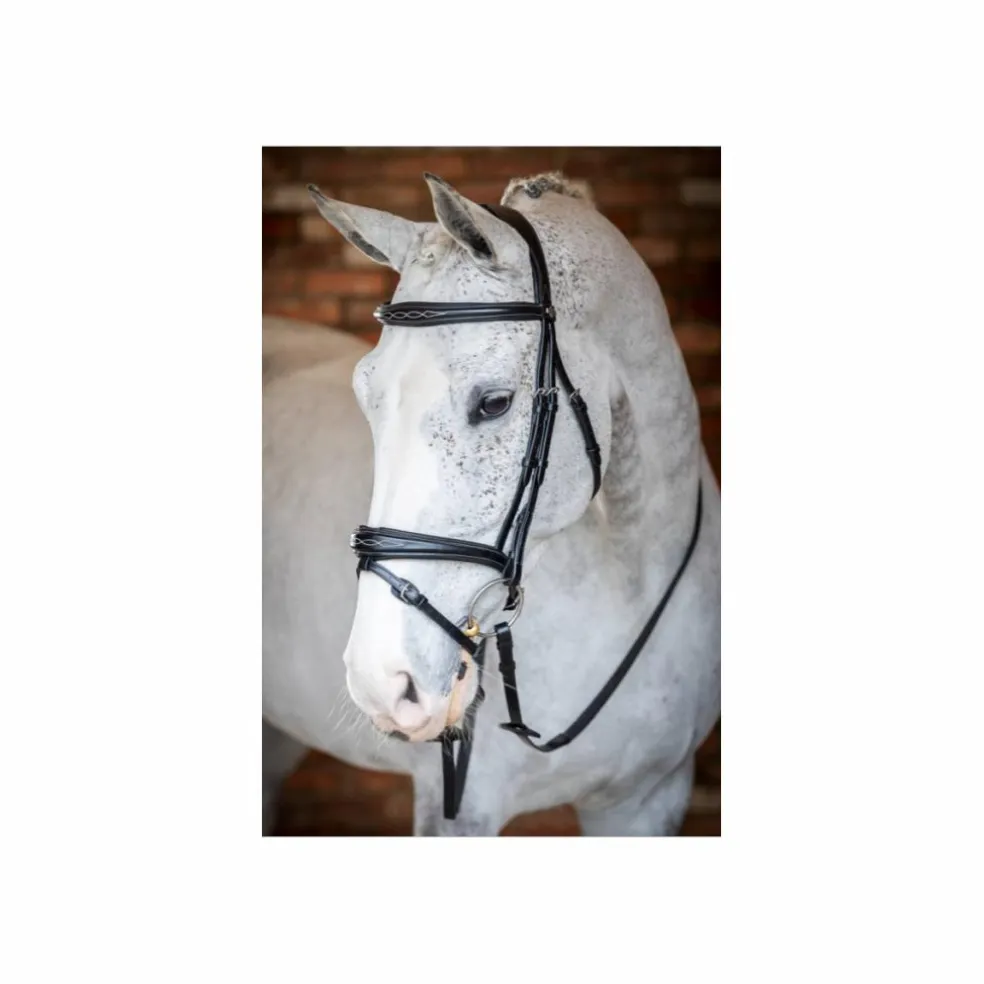 Bridon Competition Flash