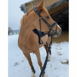 Bridon CWD