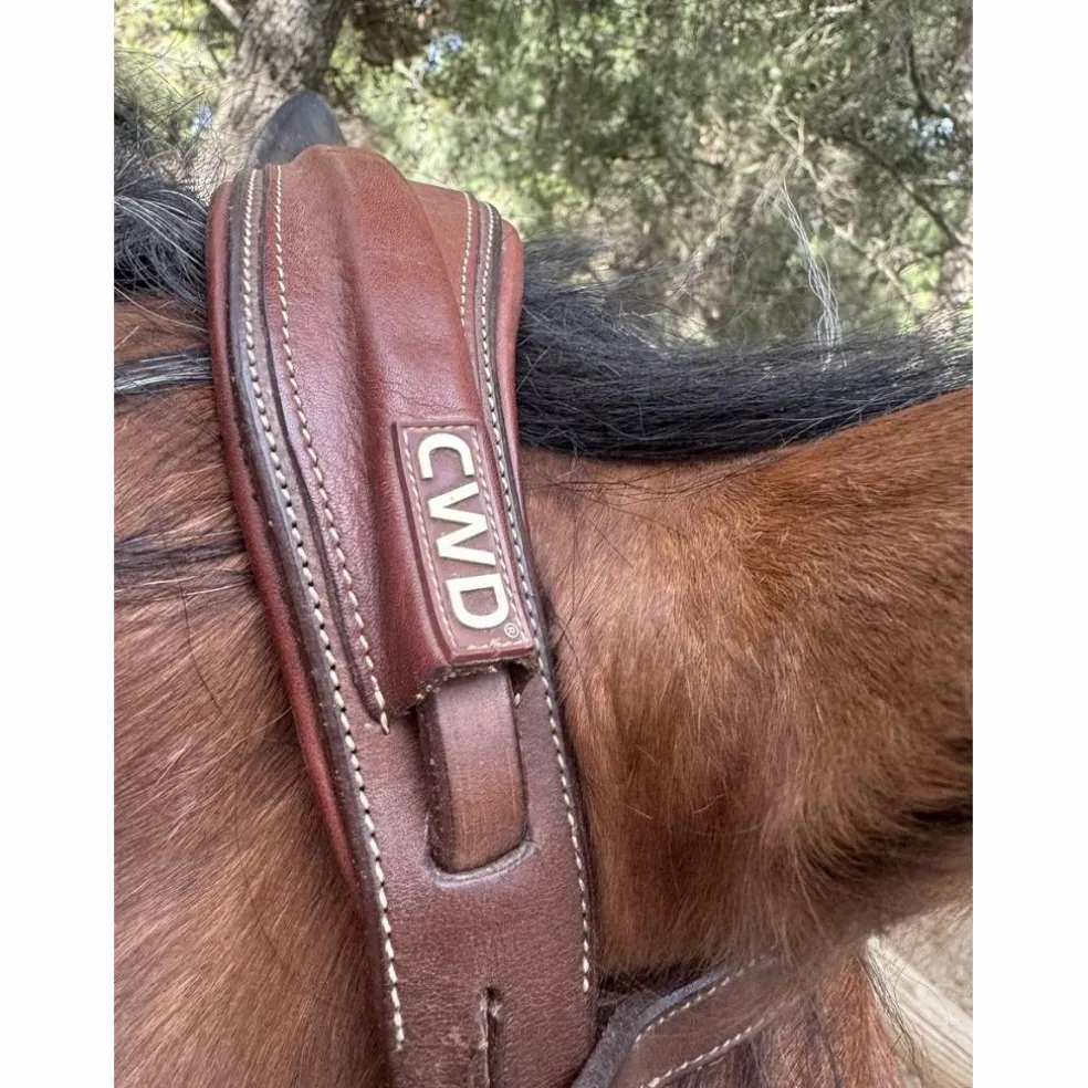 Bridon cwd