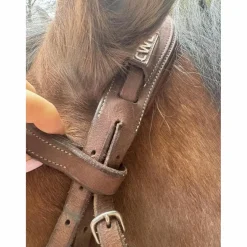 Bridon cwd