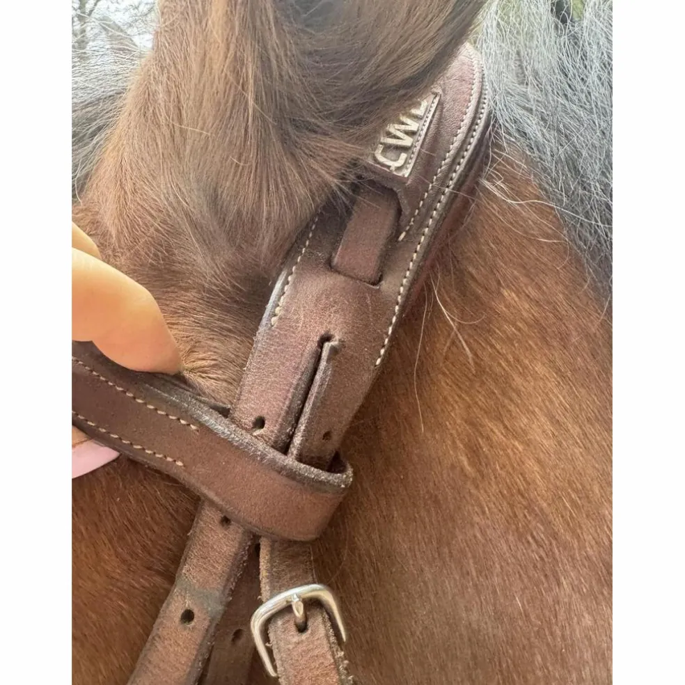 Bridon cwd