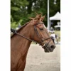 Bridon CWD + rênes